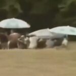 玄倉川水難事故01