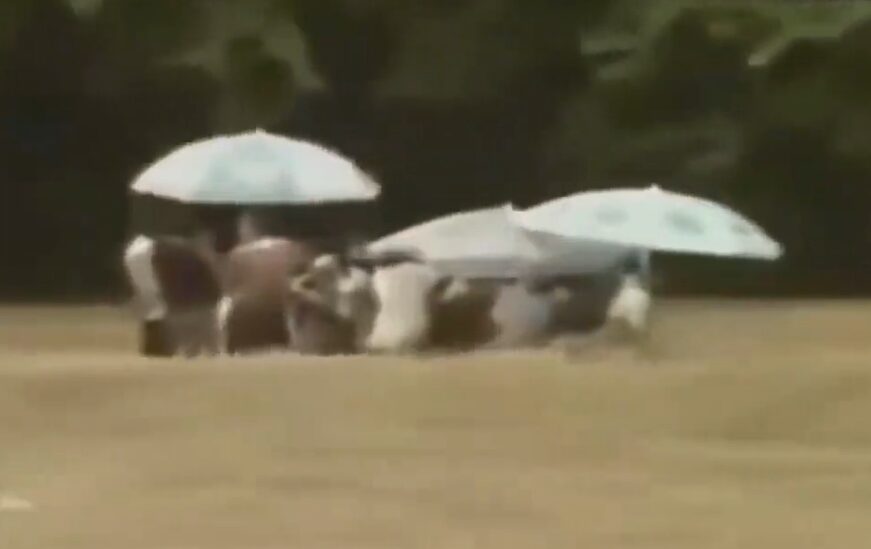 玄倉川水難事故01