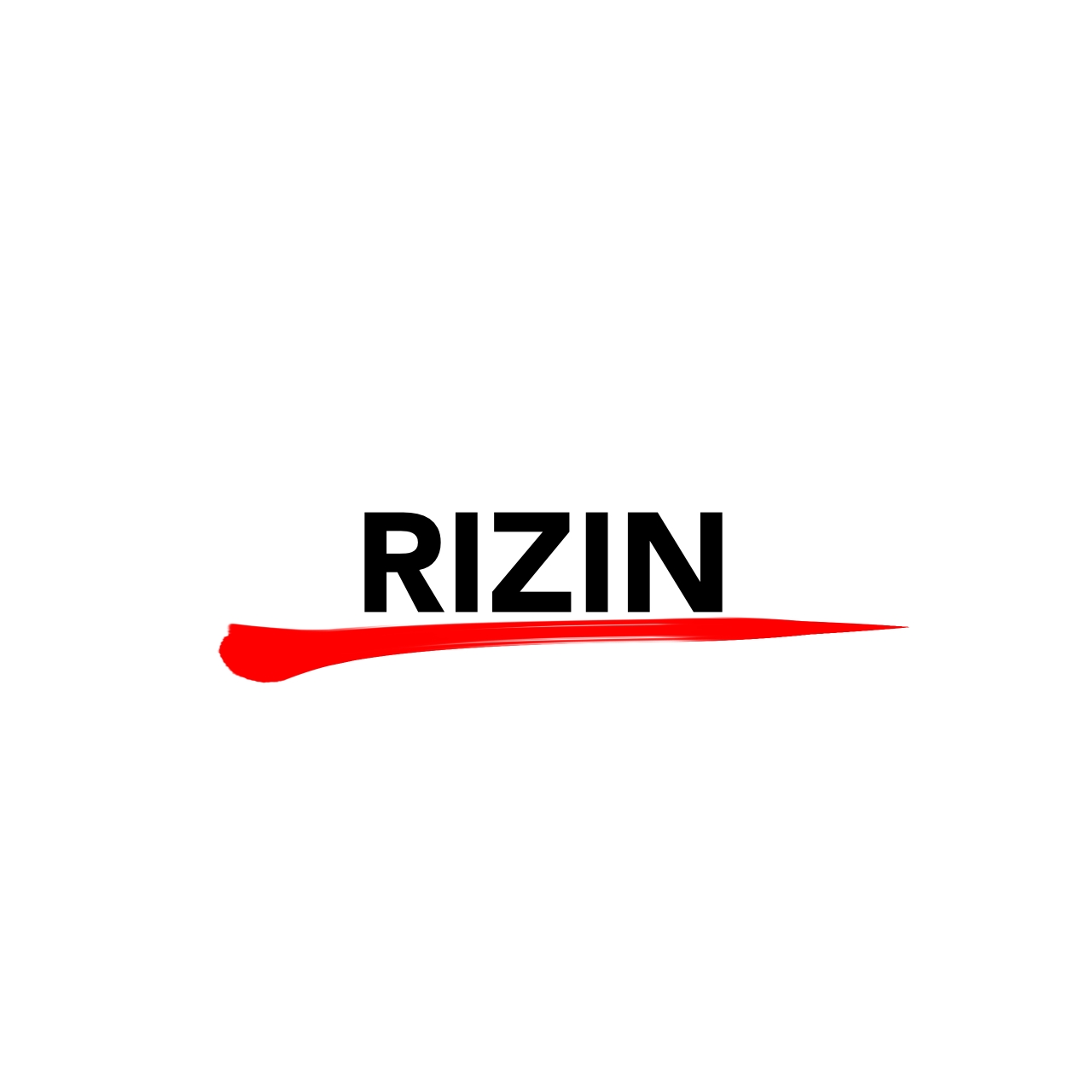 RIZIN素材01