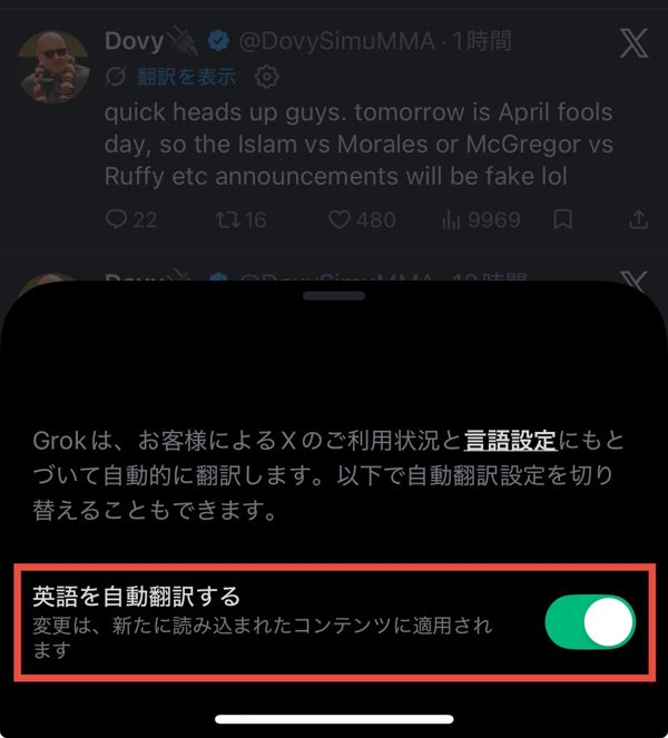 言語設定「英語を自動翻訳する」について